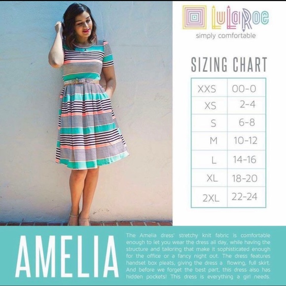 NWT LuLaRoe Amelia Pleated Dress with Zipper - Picture 6 of 6